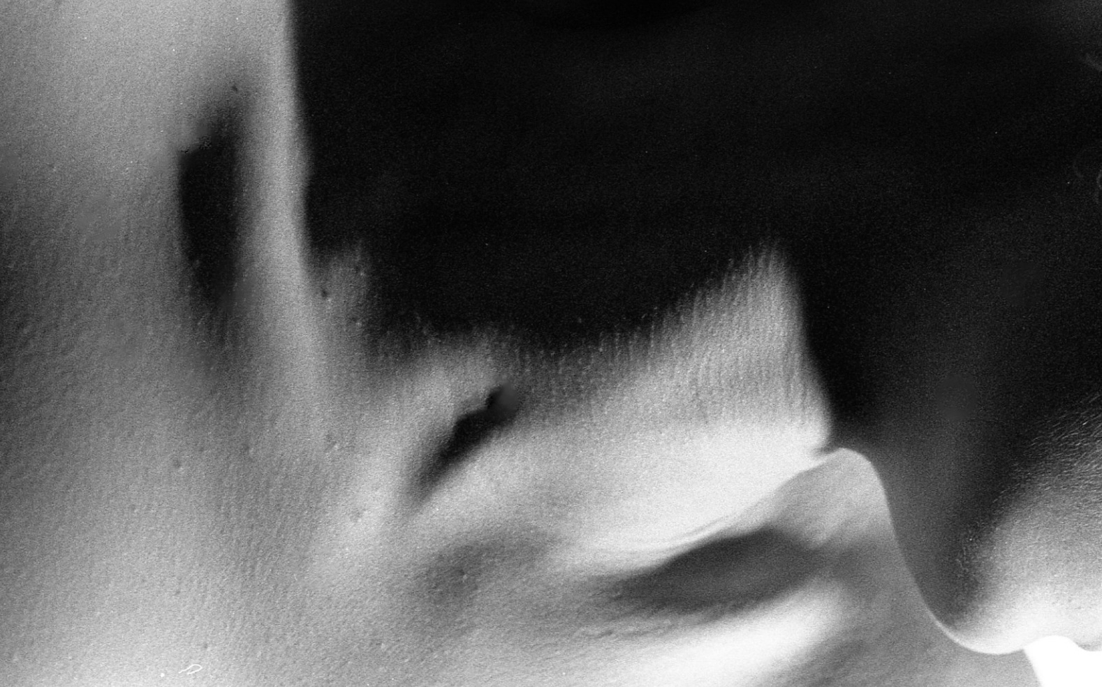 A steep drift falling into shadow, grained like fresh snow — a close landscape of skin